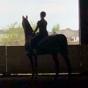 Meet your Posher, Britten